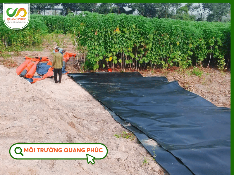 Ứng dụng màng chống thấm HDPE trong nông nghiệp
