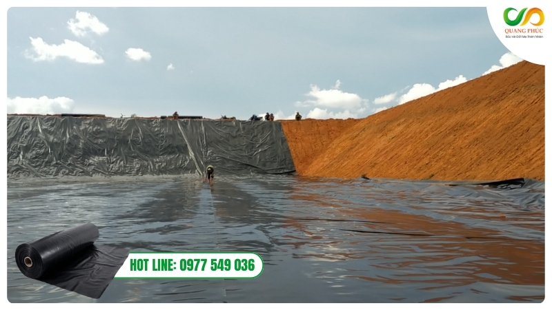 Biogas ở Việt Nam và triển vọng phát triển