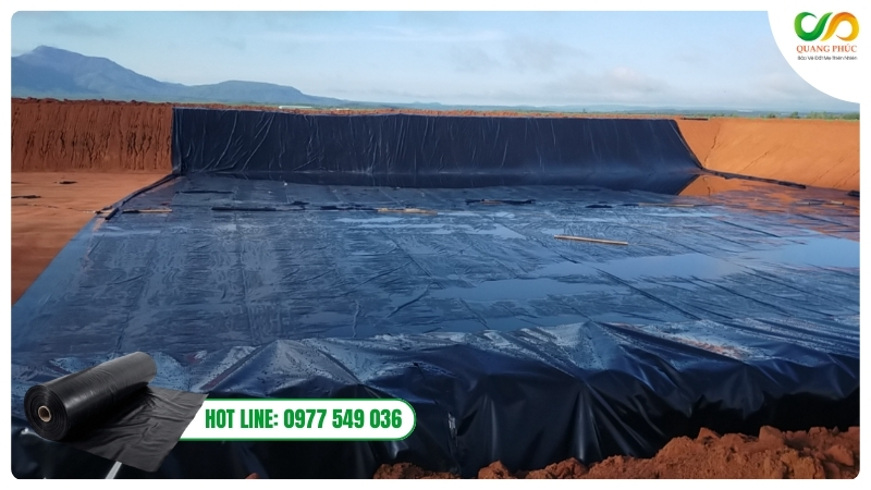 Nguyên liệu làm biogas phổ biến