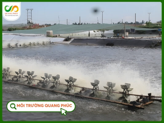 Màng chống thấm HDPE 0.3 mm giới thiệu ao tôm