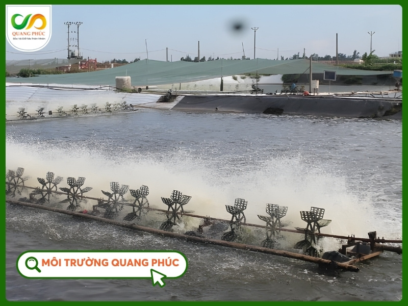 Màng chống thấm HDPE 0.3 mm giới thiệu ao tôm