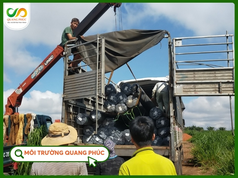 Màng chống thấm HDPE nông nghiệp