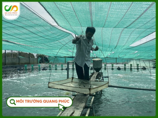 Màng chống thấm HDPE 0.3 mm lắp đặt tổng quan