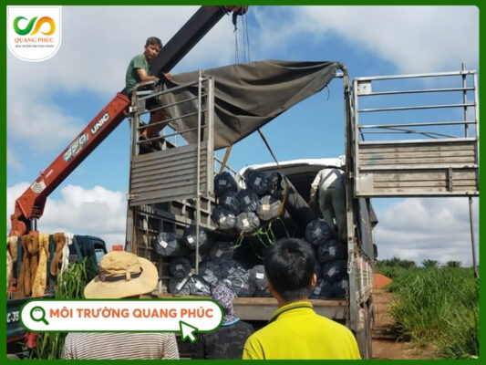 Màng HDPE case study