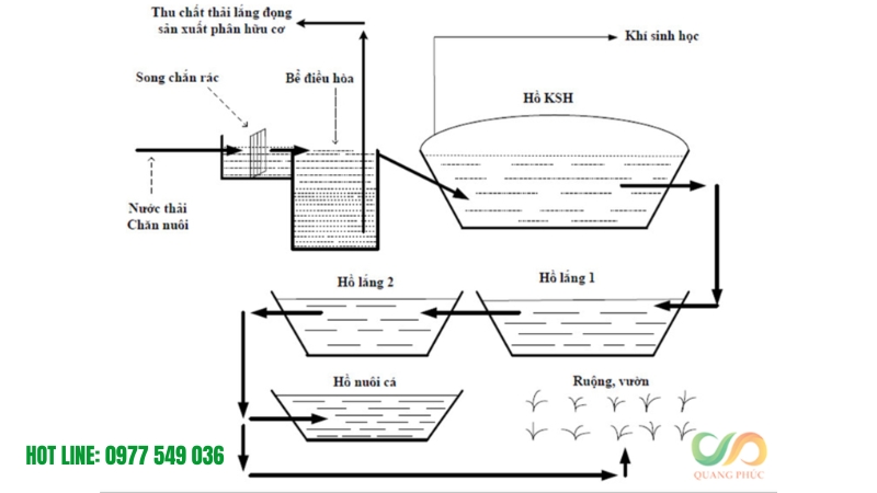 Thi công hầm biogas